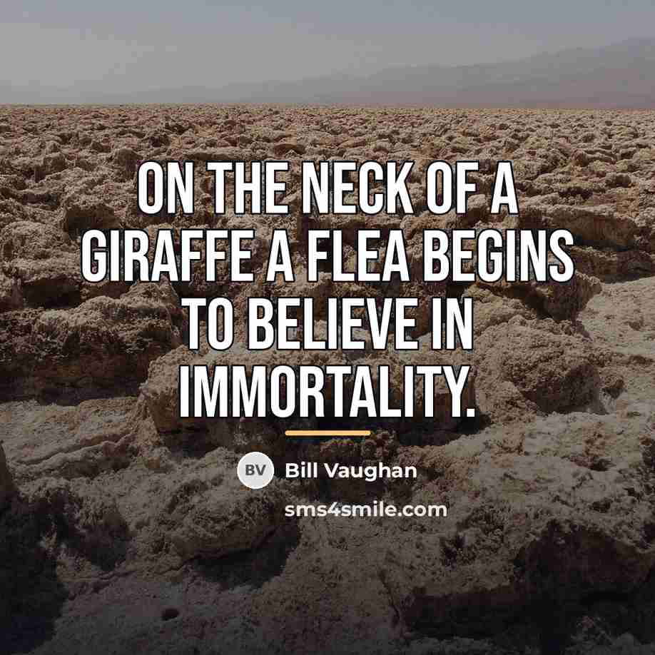 “On the neck of a giraffe a flea begins to…” quote by Bill Vaughan