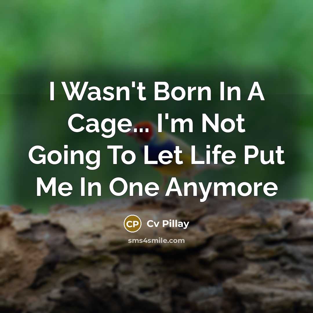 “I Wasn't Born In A Cage... I'm Not Going To…” quote by Cv Pillay