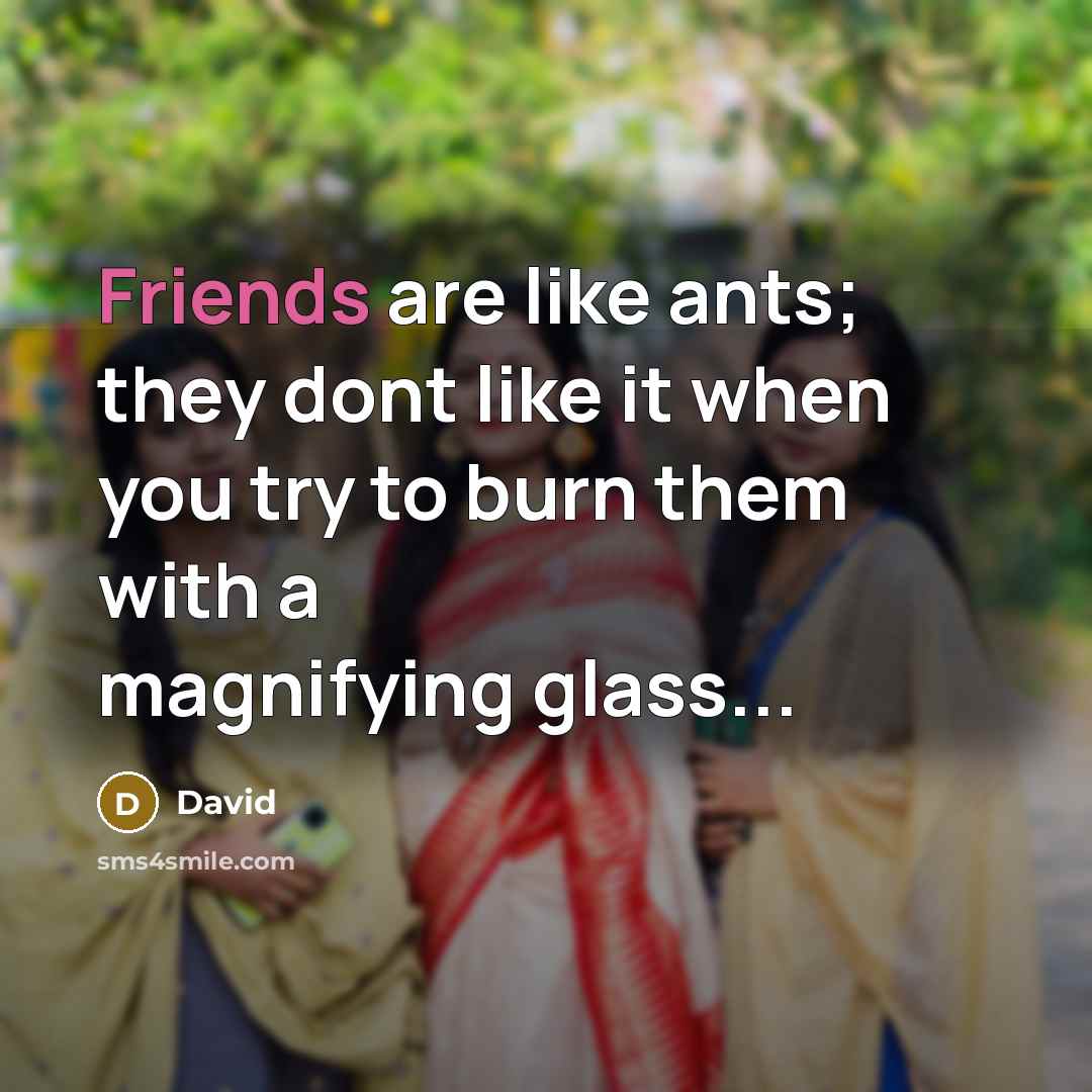 “Friends are like ants; they dont like it when you try to burn them with a magnifying glass...” quote by David