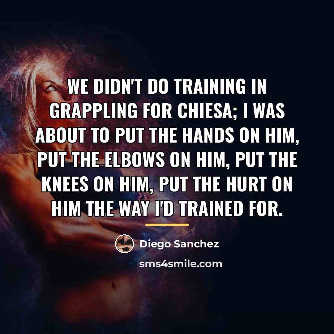 “We didn't do training in grappling for Chiesa; I was…” quote by Diego Sanchez