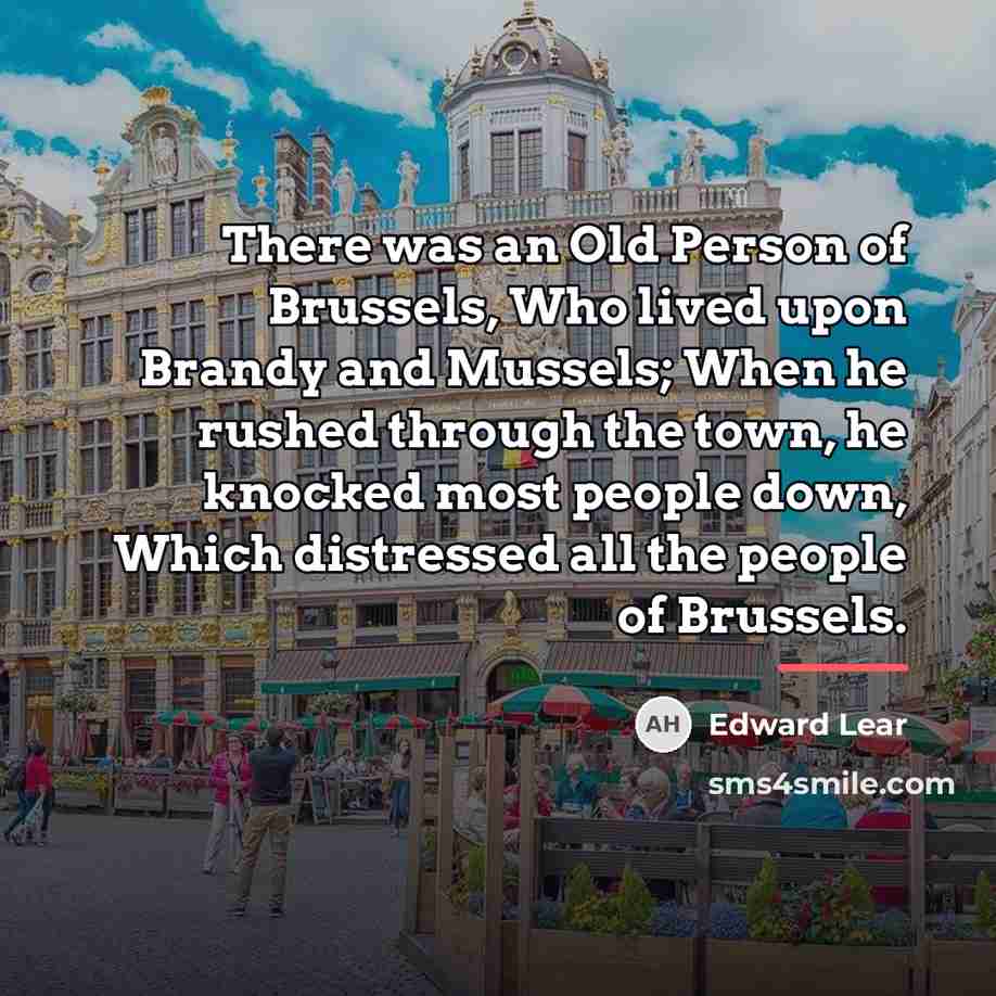 “There was an Old Person of Brussels, Who lived upon…” quote by Edward Lear