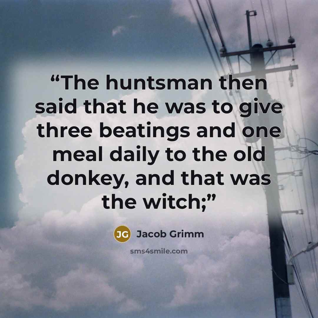 “The huntsman then said that he was to give three beatings and one meal daily to the old donkey, and that was the witch;” quote by Jacob Grimm