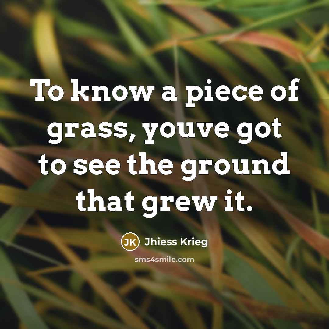 “To know a piece of grass, youve got to see…” quote by Jhiess Krieg