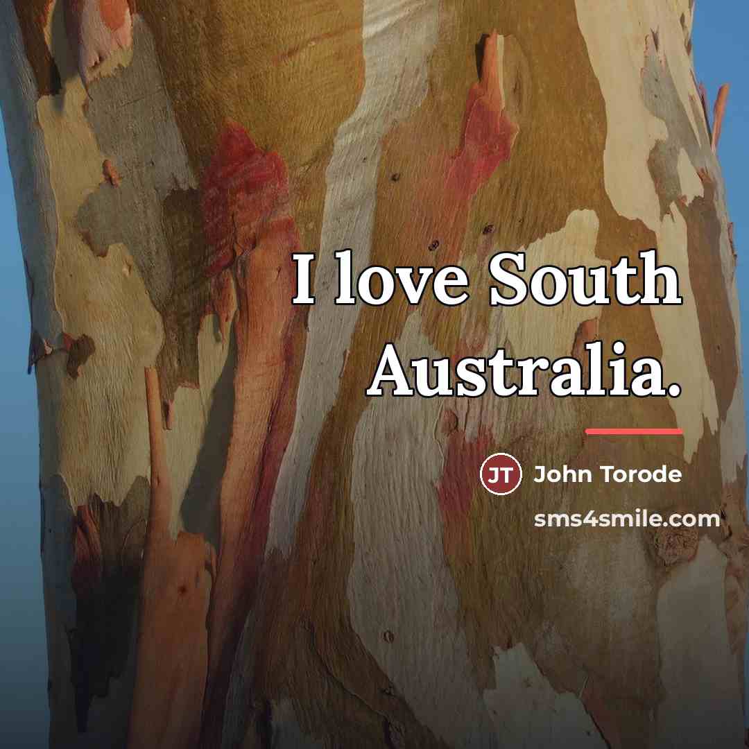 “I love South Australia.…” quote by John Torode