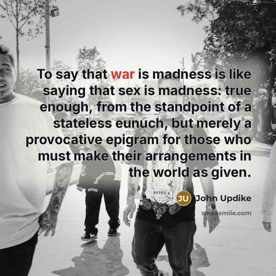 “To say that war is madness is like saying that…” quote by John Updike