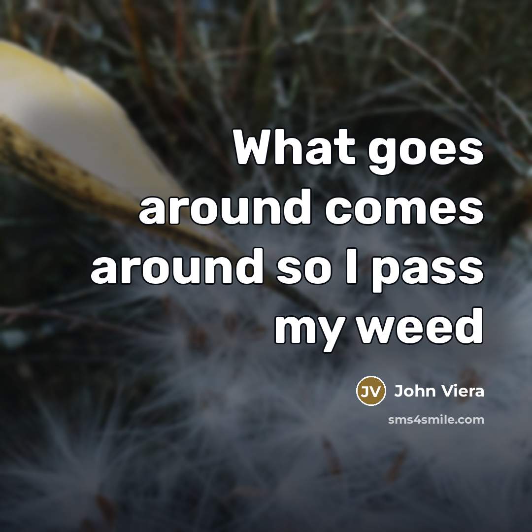“What goes around comes around so I pass my weed…” quote by John Viera