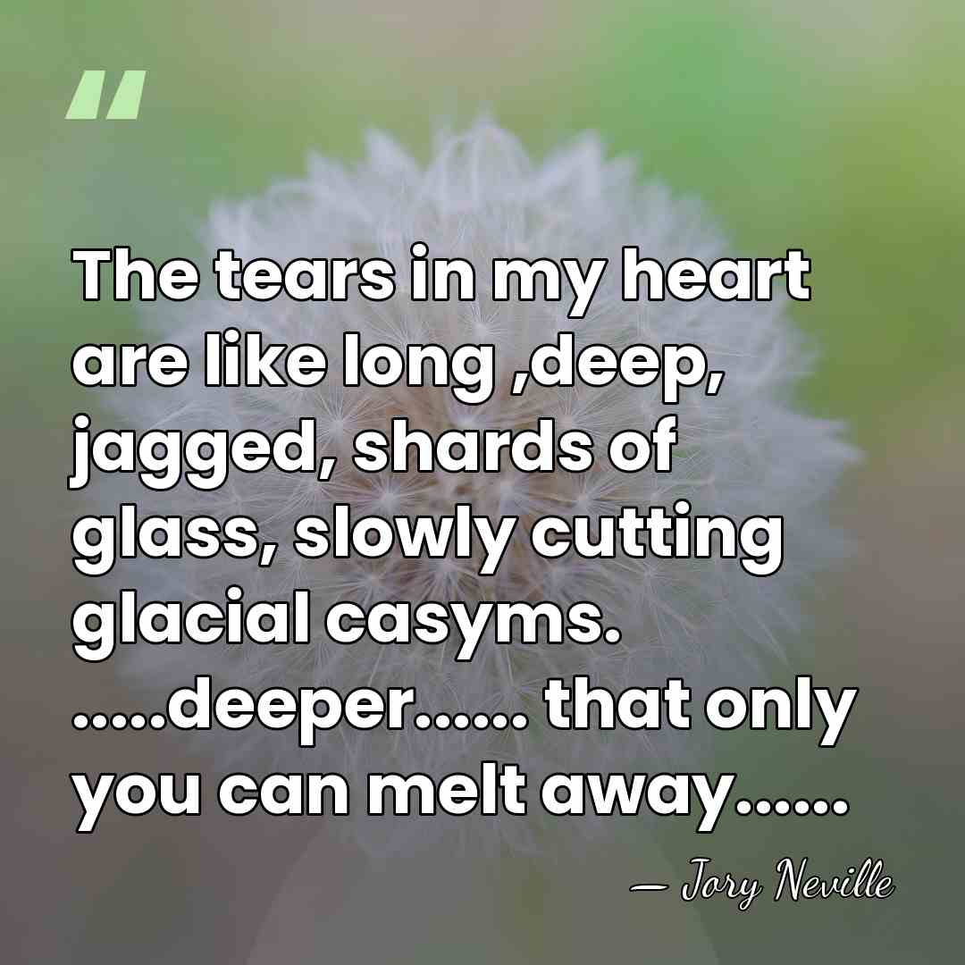 The tears in my heart are like long ,deep, jagged, shards of&hellip; - Jory Neville