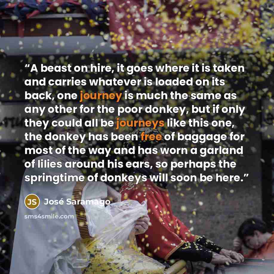 “A beast on hire, it goes where it is taken and carries whatever is loaded on its back, one journey is much the same as any other for the poor donkey, but if only they could all be journeys like this one, the donkey has been free of baggage for most of the way and has worn a garland of lilies…” quote by José Saramago
