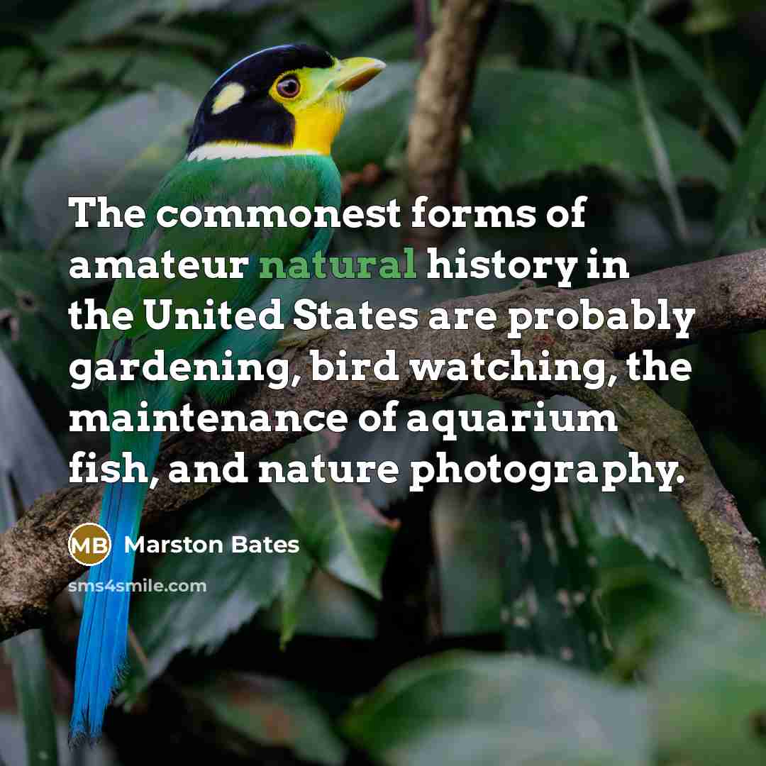 “The commonest forms of amateur natural history in the United…” quote by Marston Bates
