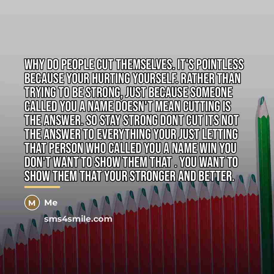 “Why do people cut themselves. It's pointless because your hurting…” quote by Me