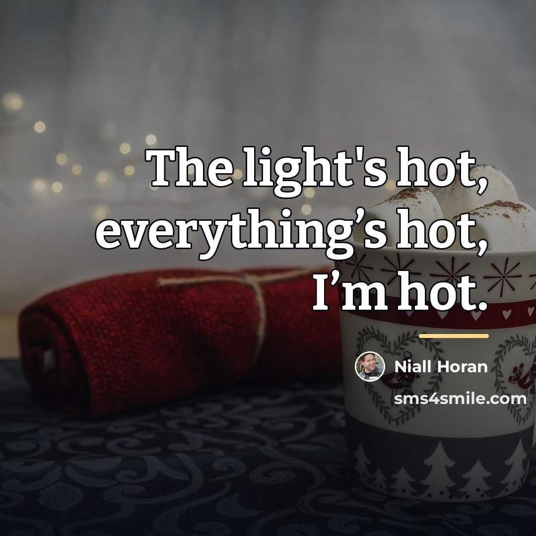 “The light's hot, everything’s hot, I’m hot.…” quote by Niall Horan