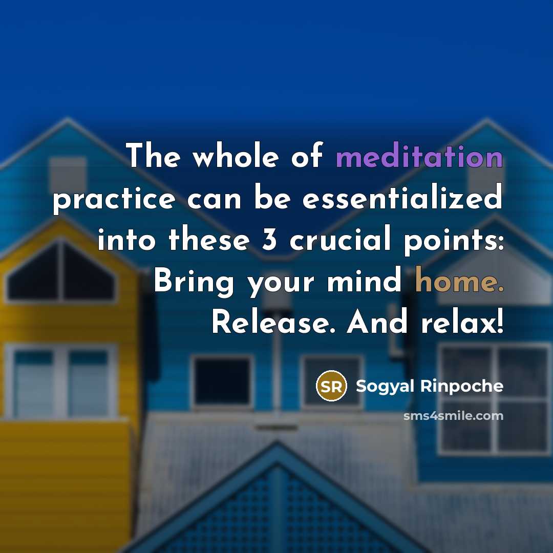 “The whole of meditation practice can be essentialized into these…” quote by Sogyal Rinpoche