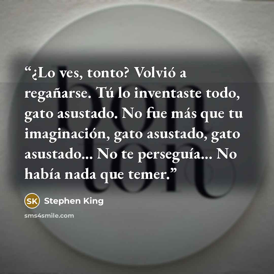“¿Lo ves, tonto? Volvió a regañarse. Tú lo inventaste todo, gato asustado. No fue más que tu imaginación, gato asustado, gato asustado... No te perseguía... No había nada que temer.” quote by Stephen King