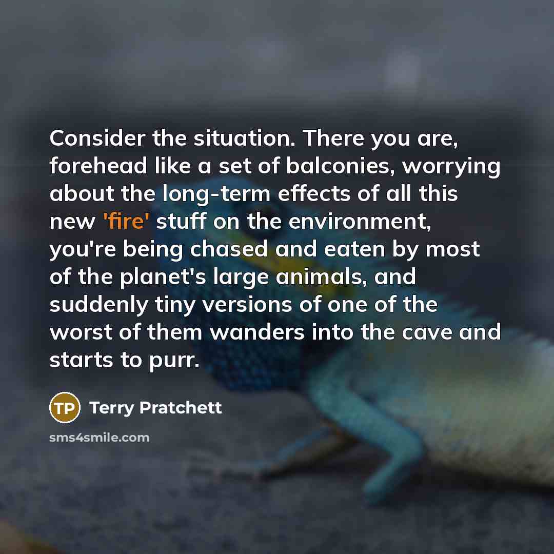 “Consider the situation. There you are, forehead like a set…” quote by Terry Pratchett