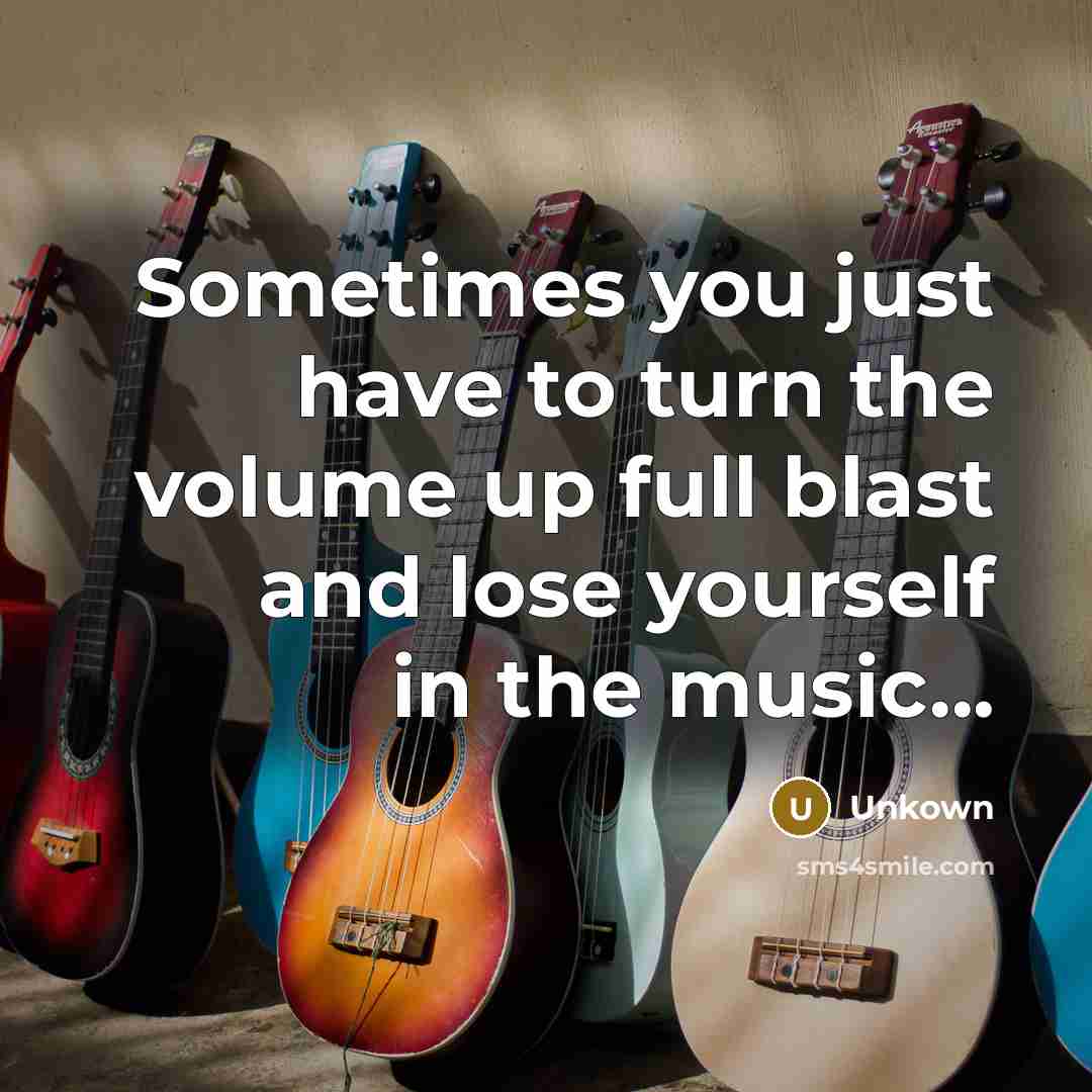 “Sometimes you just have to turn the volume up full…” quote by Unkown