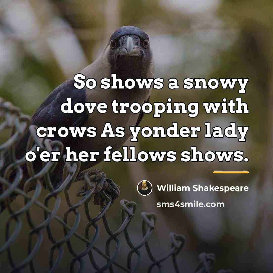 “So shows a snowy dove trooping with crows As yonder…” quote by William Shakespeare