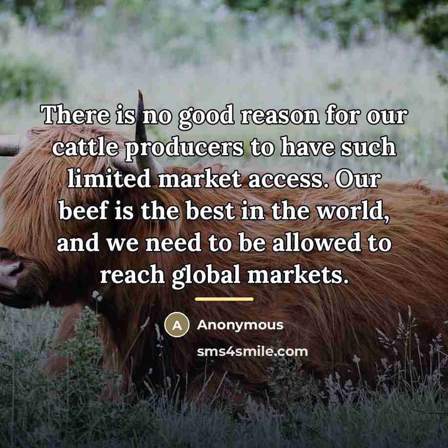 “There is no good reason for our cattle producers to…” quote by Anonymous