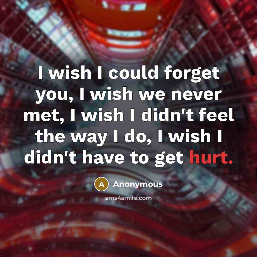 “I wish I could forget you, I wish we never met, I wish I didn't feel the way I do, I wish I didn't have to get hurt.” quote by Anonymous