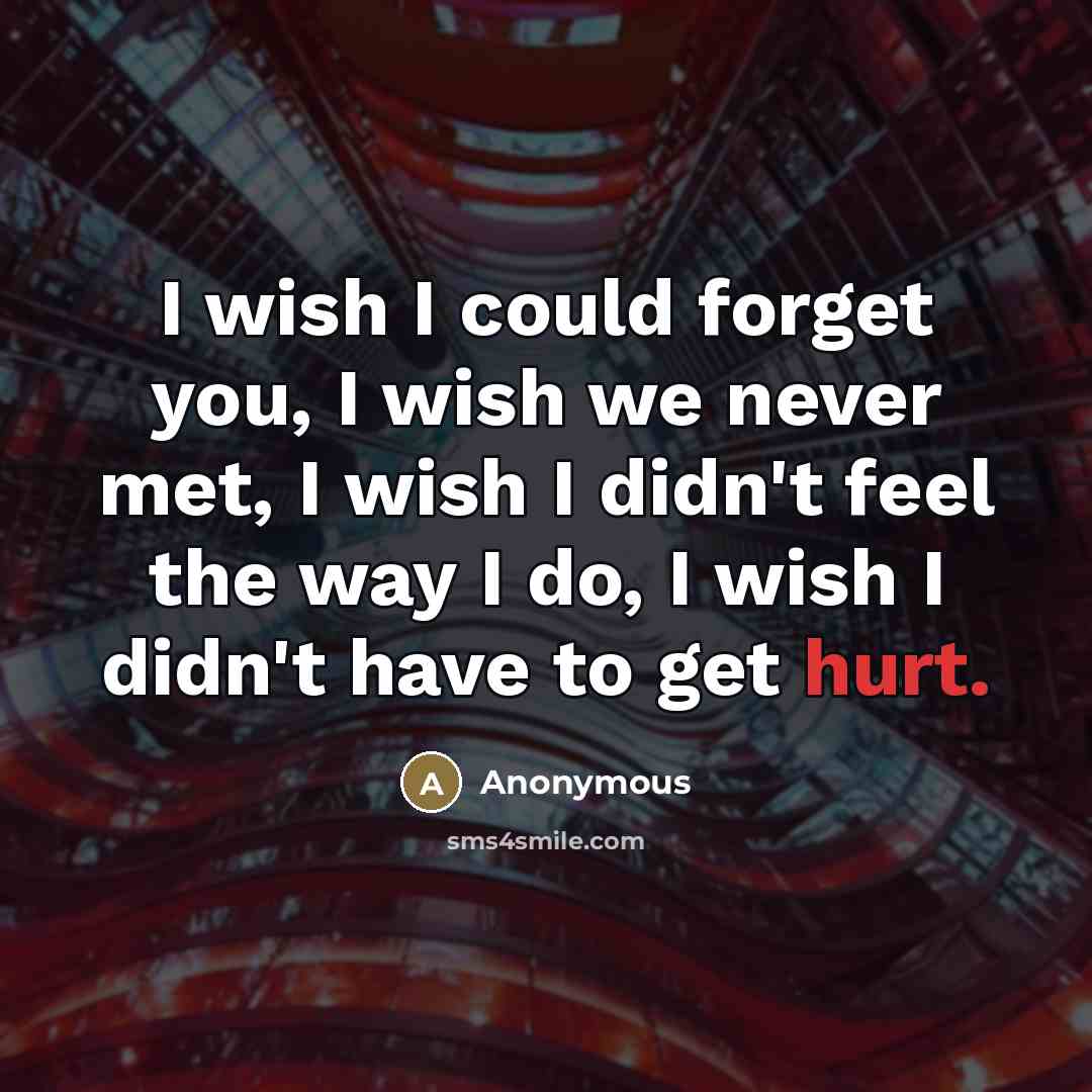 “I wish I could forget you, I wish we never met, I wish I didn't feel the way I do, I wish I didn't have to get hurt.” quote by Anonymous