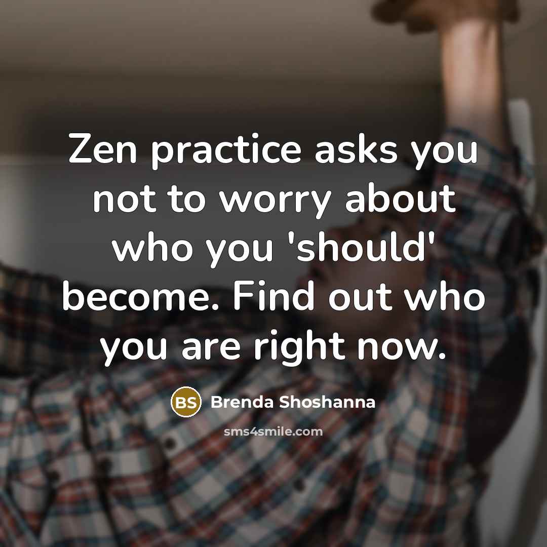 “Zen practice asks you not to worry about who you…” quote by Brenda Shoshanna