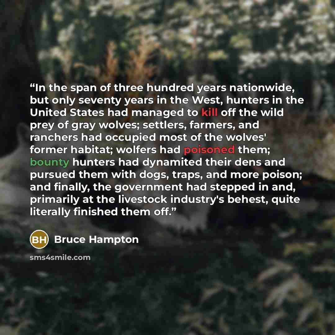 “In the span of three hundred years nationwide, but only seventy years in the West, hunters in the United States had managed to kill off the wild prey of gray wolves; settlers, farmers, and ranchers had occupied most of the wolves' former habitat; wolfers had poisoned them; bounty hunters had…” quote by Bruce Hampton