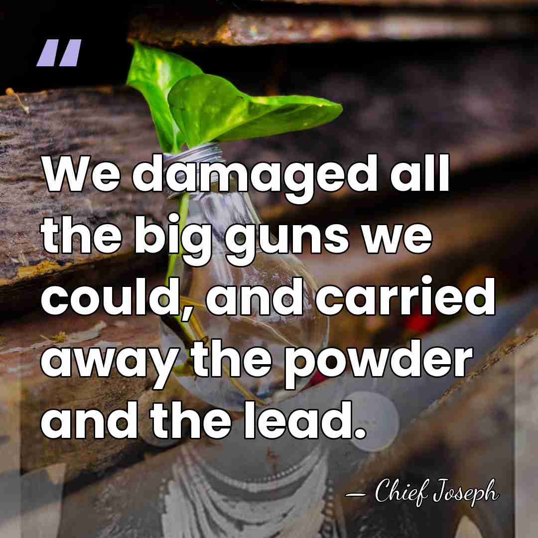 We damaged all the big guns we could, and carried away the&hellip; - Chief Joseph