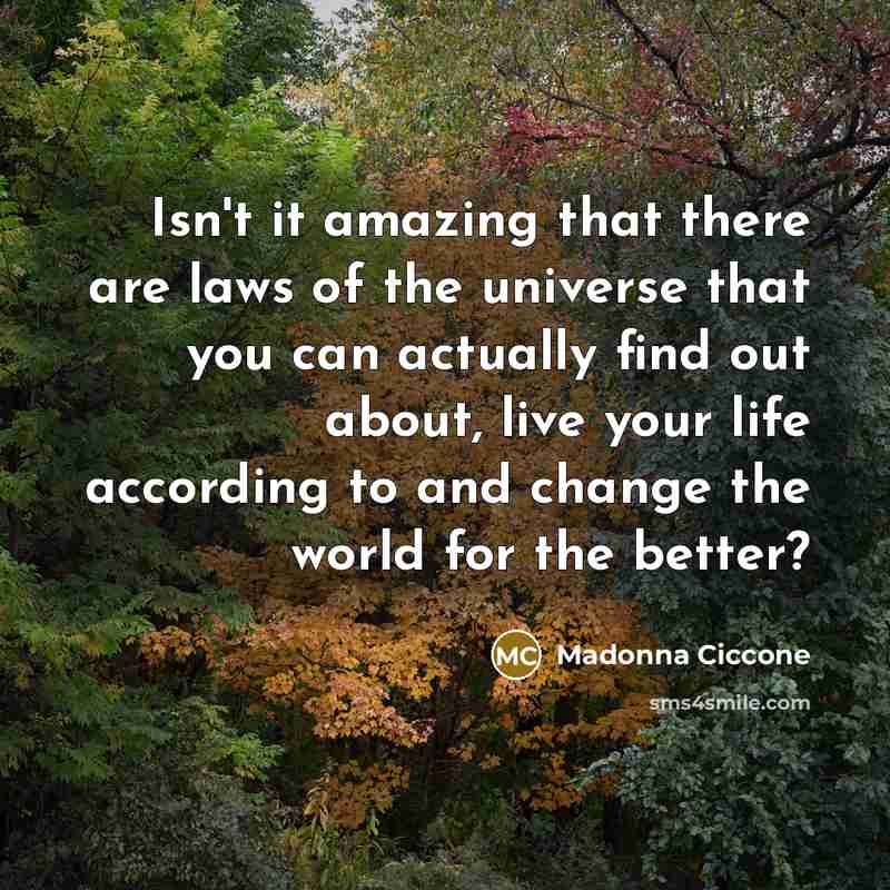 “Isn't it amazing that there are laws of the universe…” quote by Madonna Ciccone