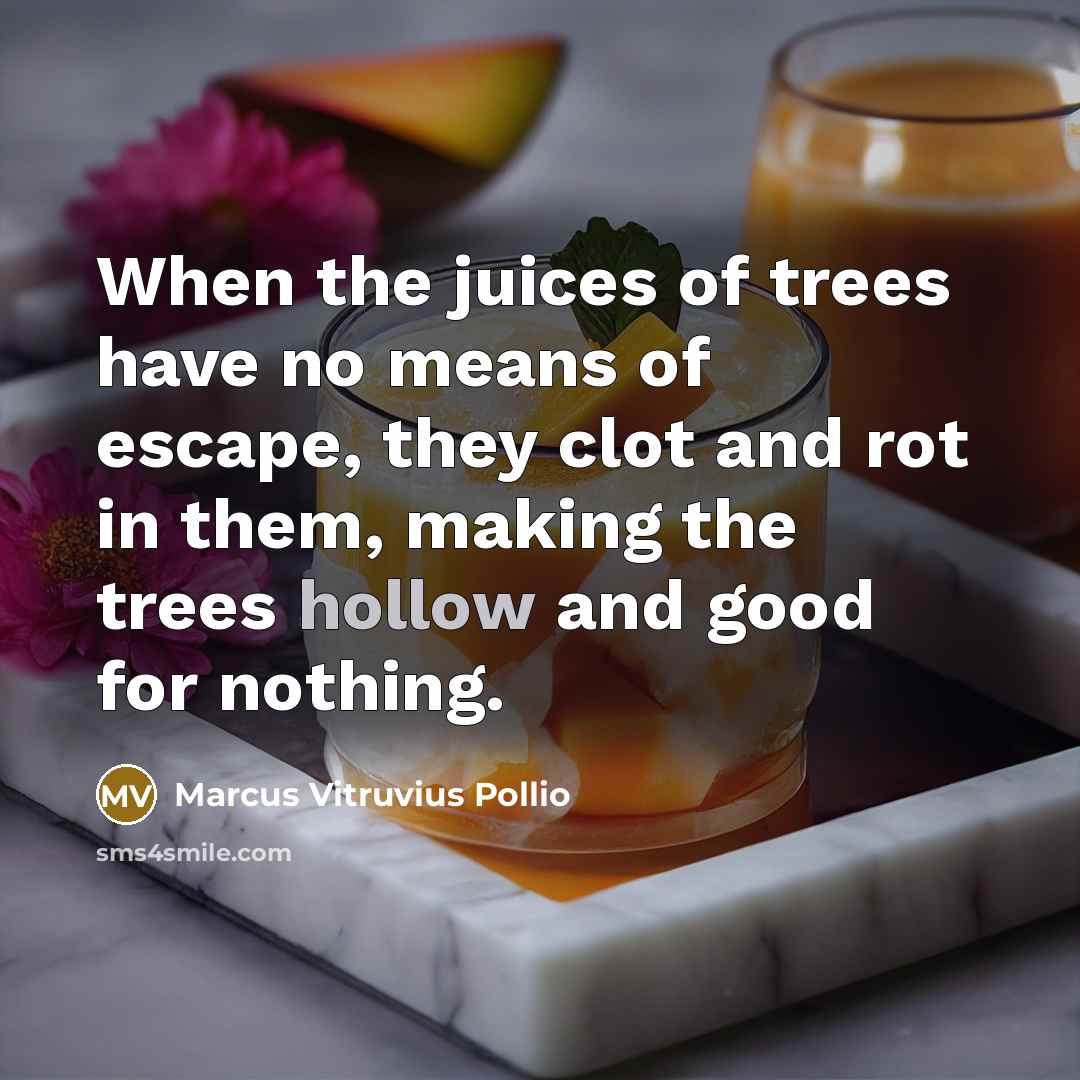 “When the juices of trees have no means of escape,…” quote by Marcus Vitruvius Pollio