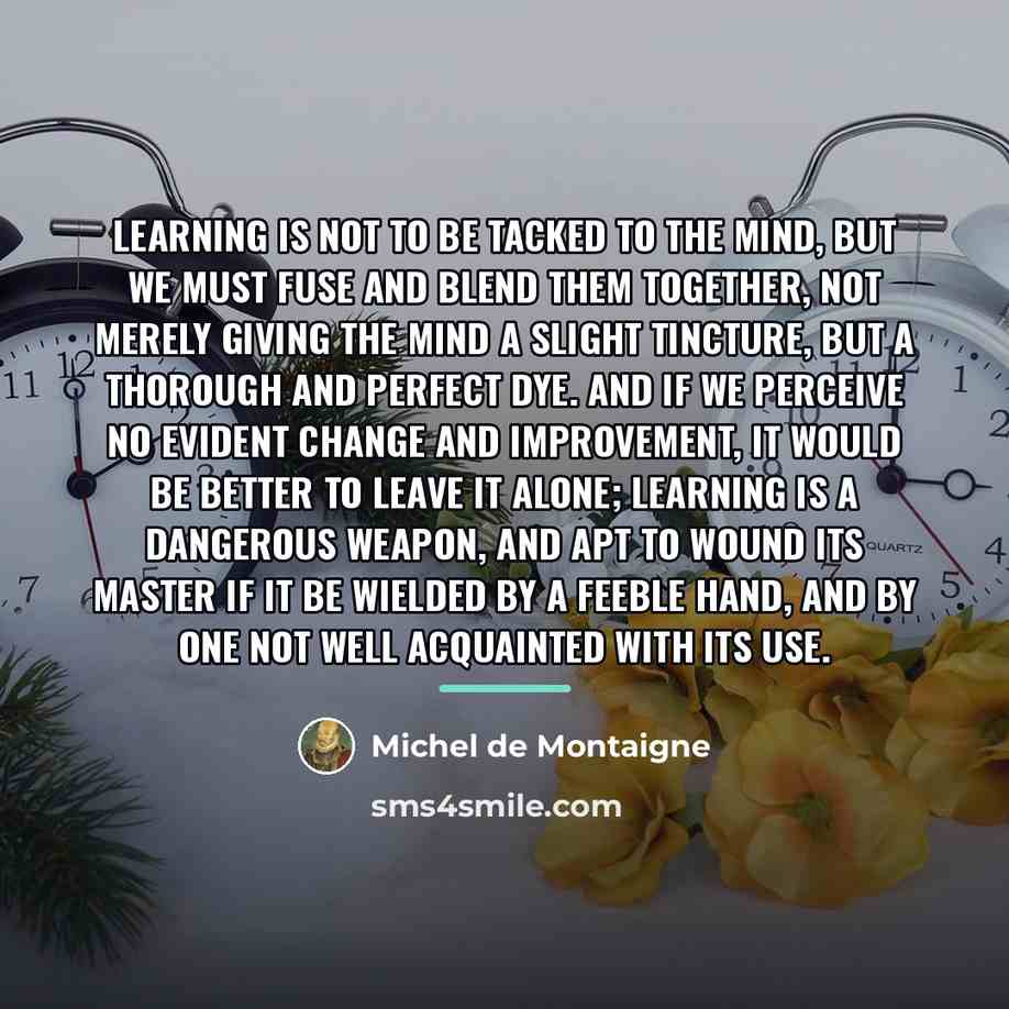 “Learning is not to be tacked to the mind, but…” quote by Michel de Montaigne
