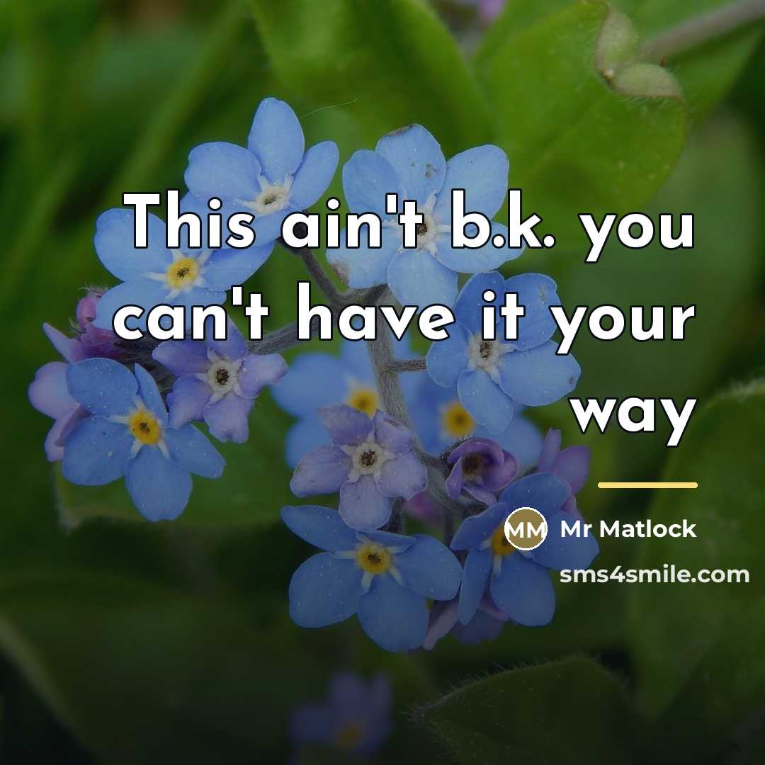 “This ain't b.k. you can't have it your way…” quote by Mr Matlock