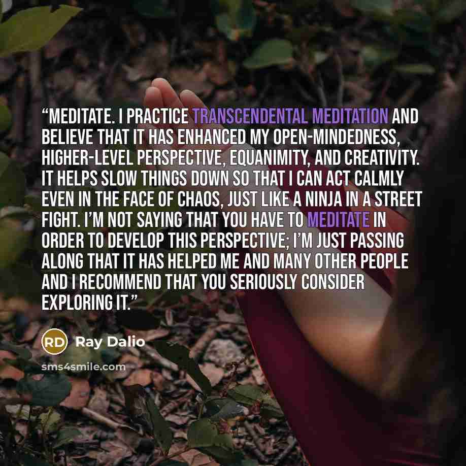 “Meditate. I practice Transcendental Meditation and believe that it has enhanced my open-mindedness, higher-level perspective, equanimity, and creativity. It helps slow things down so that I can act calmly even in the face of chaos, just like a ninja in a street fight. I’m not saying that you have…” quote by Ray Dalio