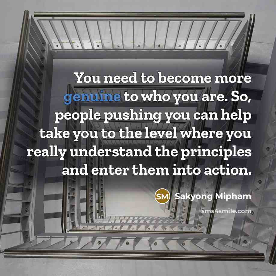 “You need to become more genuine to who you are.…” quote by Sakyong Mipham