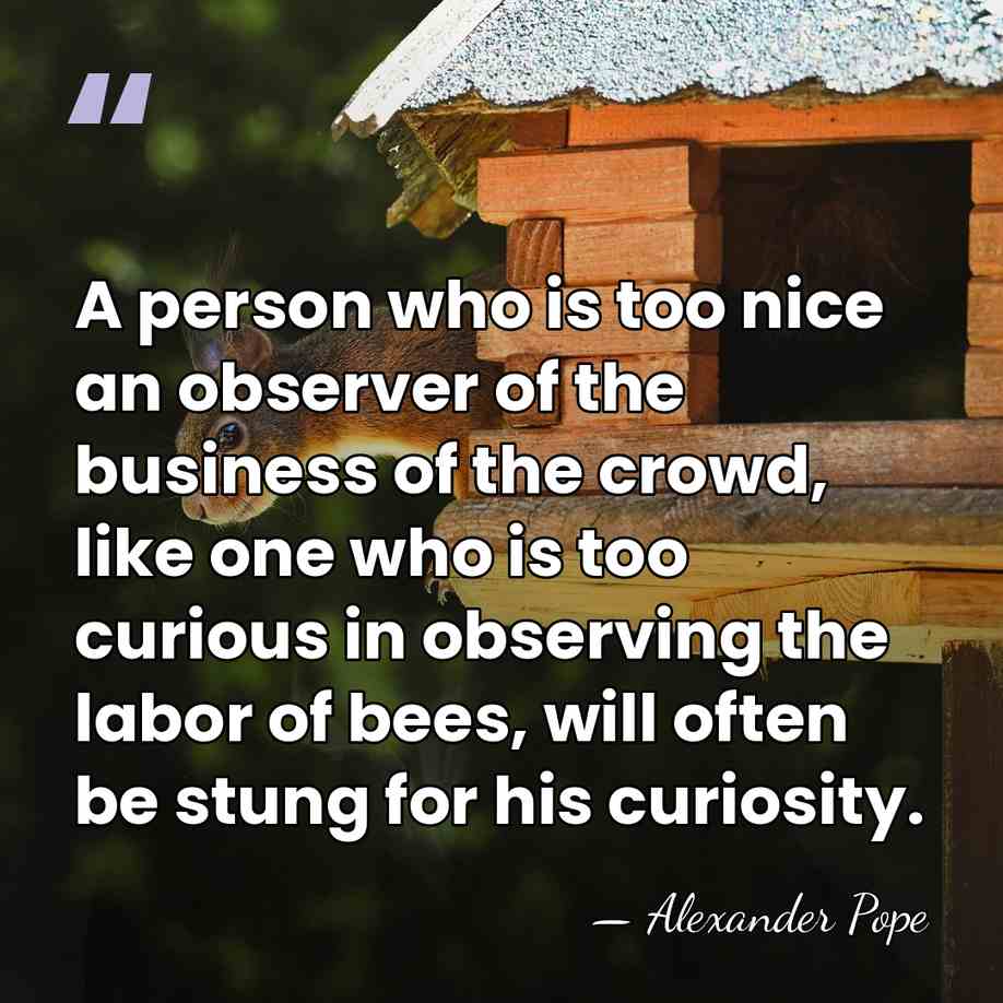 A person who is too nice an observer of the business of&hellip; - Alexander Pope