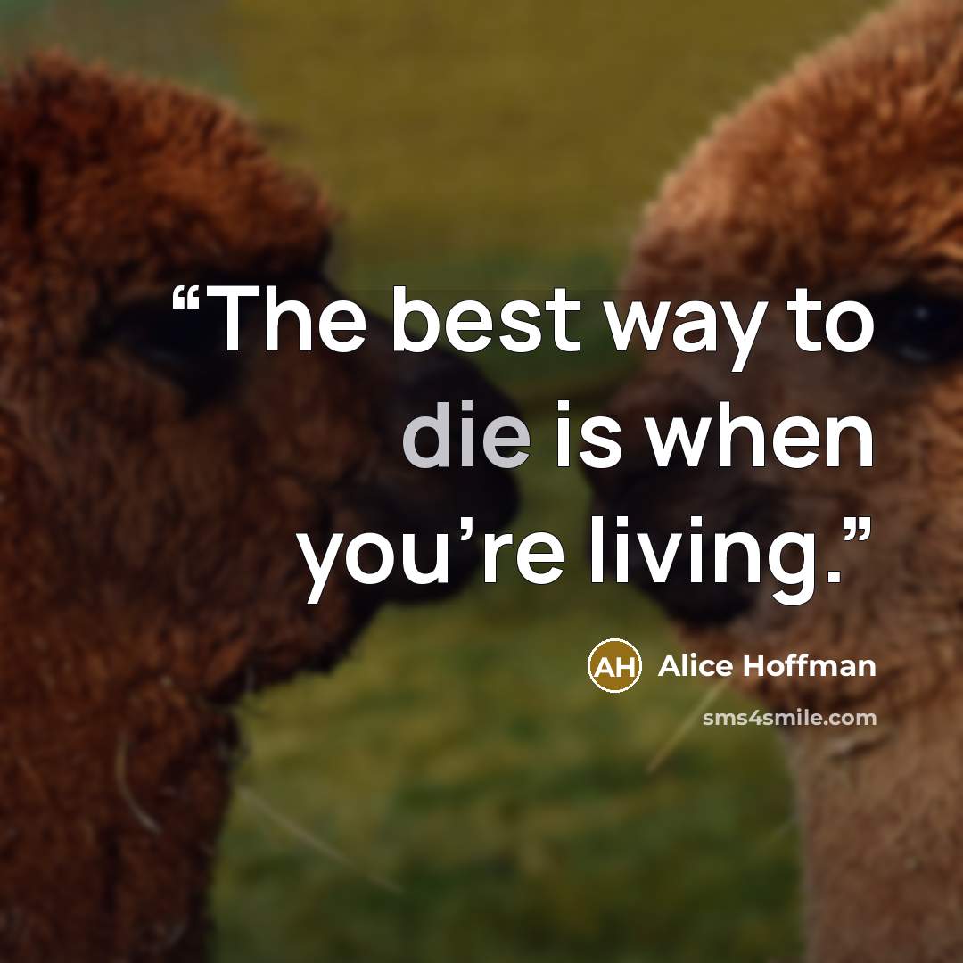 “The best way to die is when you're living.” quote by Alice Hoffman
