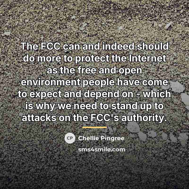 “The FCC can and indeed should do more to protect…” quote by Chellie Pingree