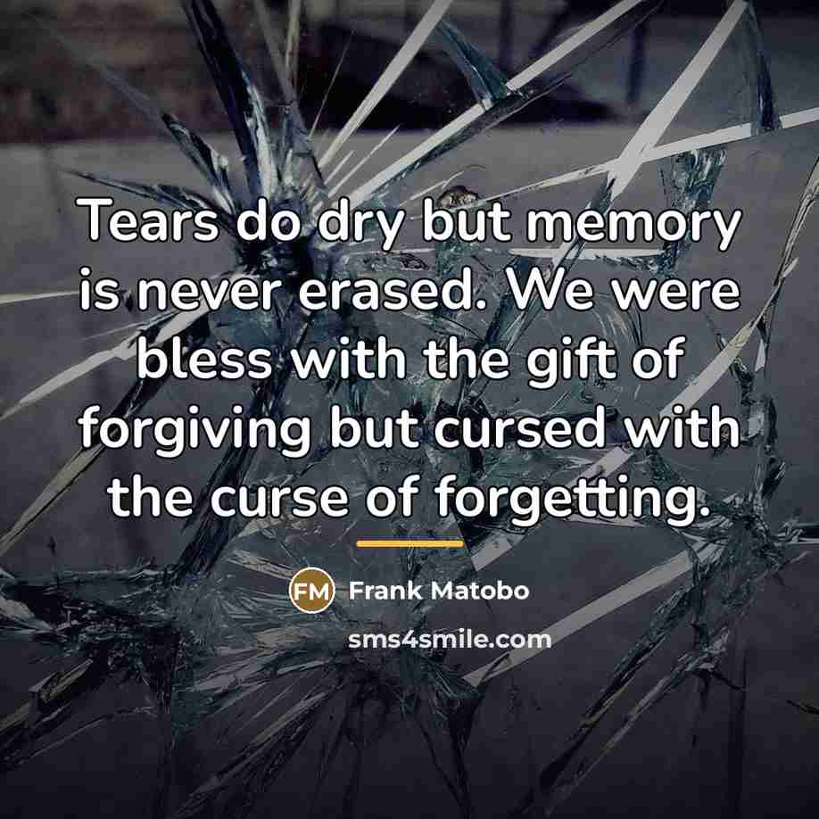 “Tears do dry but memory is never erased. We were…” quote by Frank Matobo