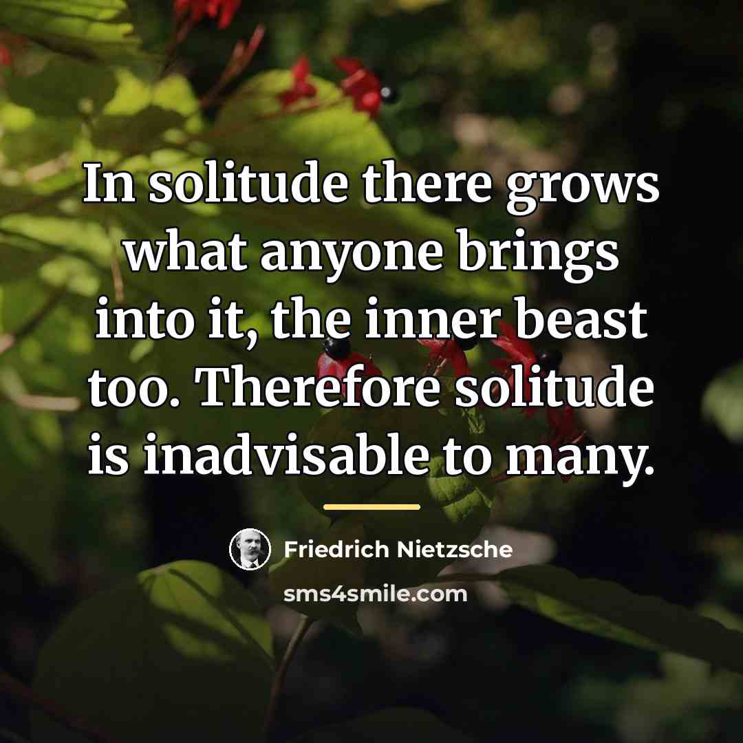 “In solitude there grows what anyone brings into it, the…” quote by Friedrich Nietzsche