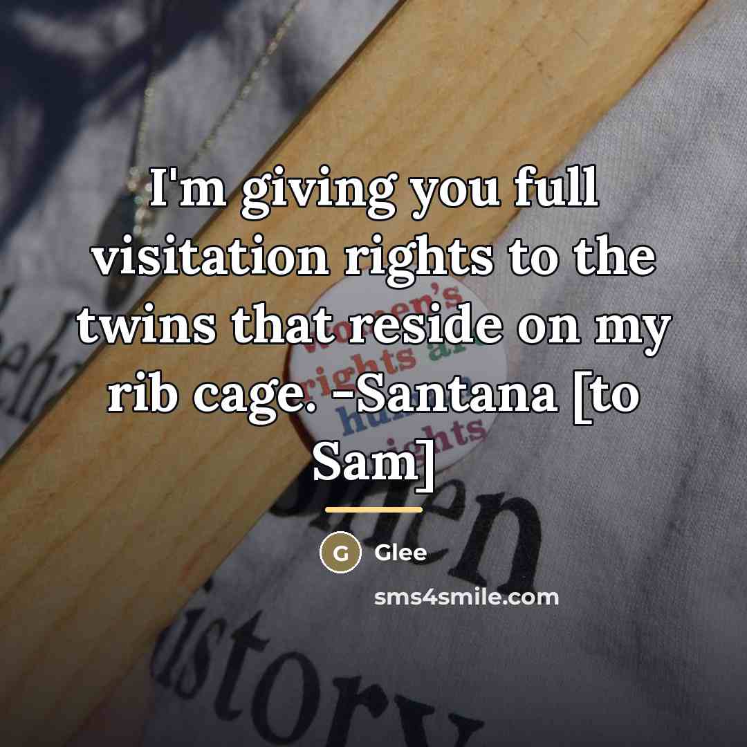 “I'm giving you full visitation rights to the twins that…” quote by Glee