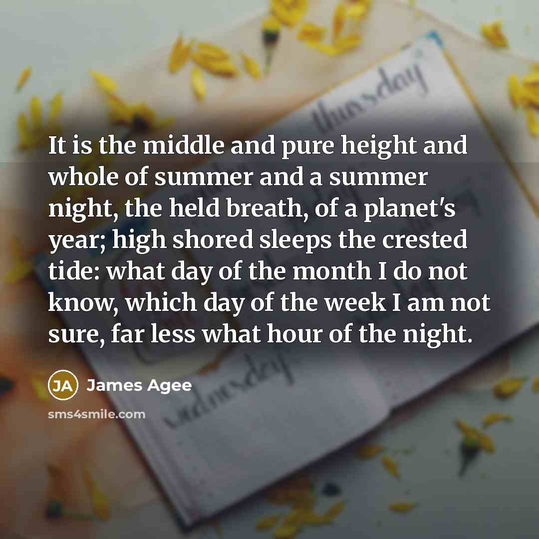 “It is the middle and pure height and whole of…” quote by James Agee
