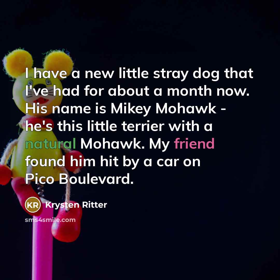 “I have a new little stray dog that I've had…” quote by Krysten Ritter