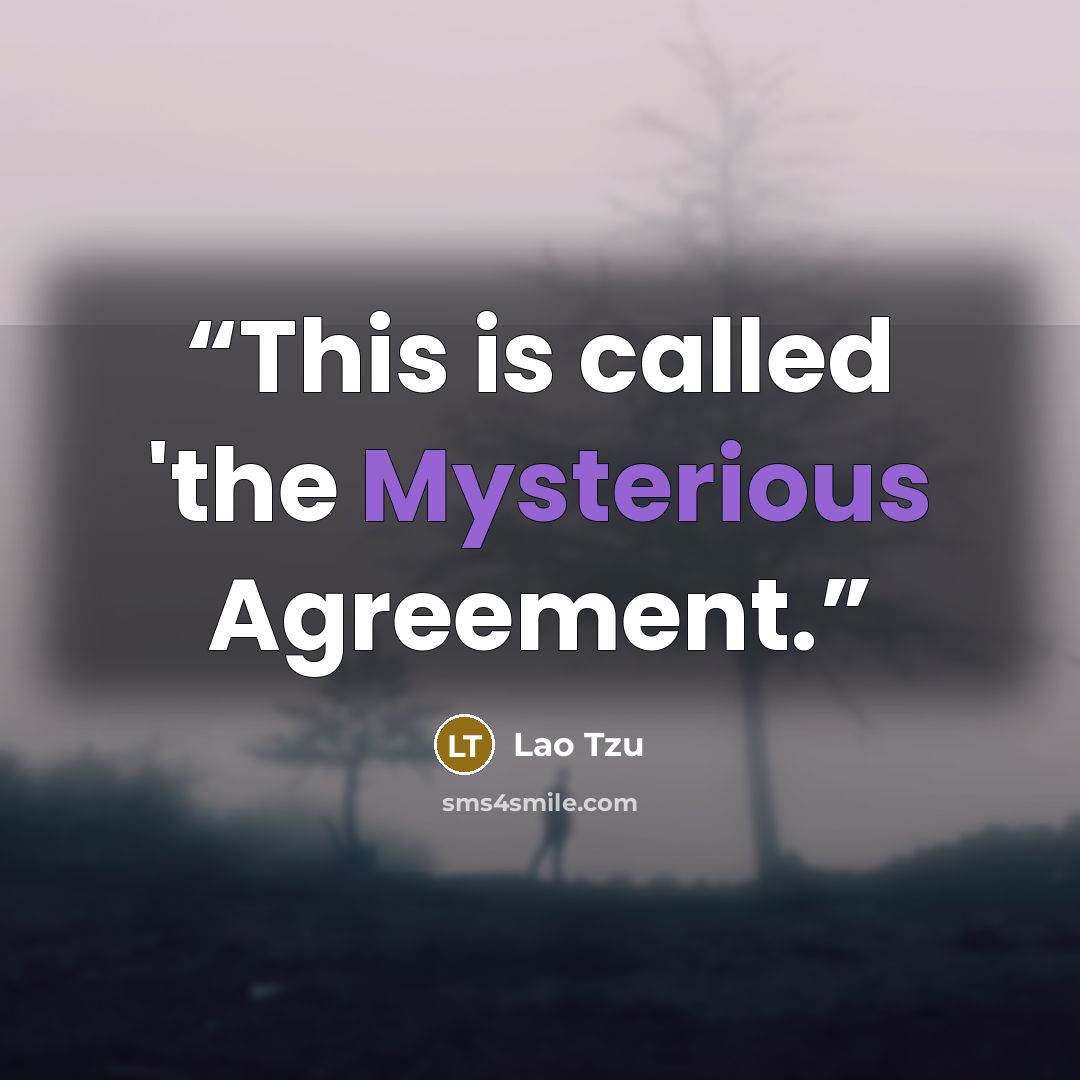 “This is called 'the Mysterious Agreement.” quote by Lao Tzu