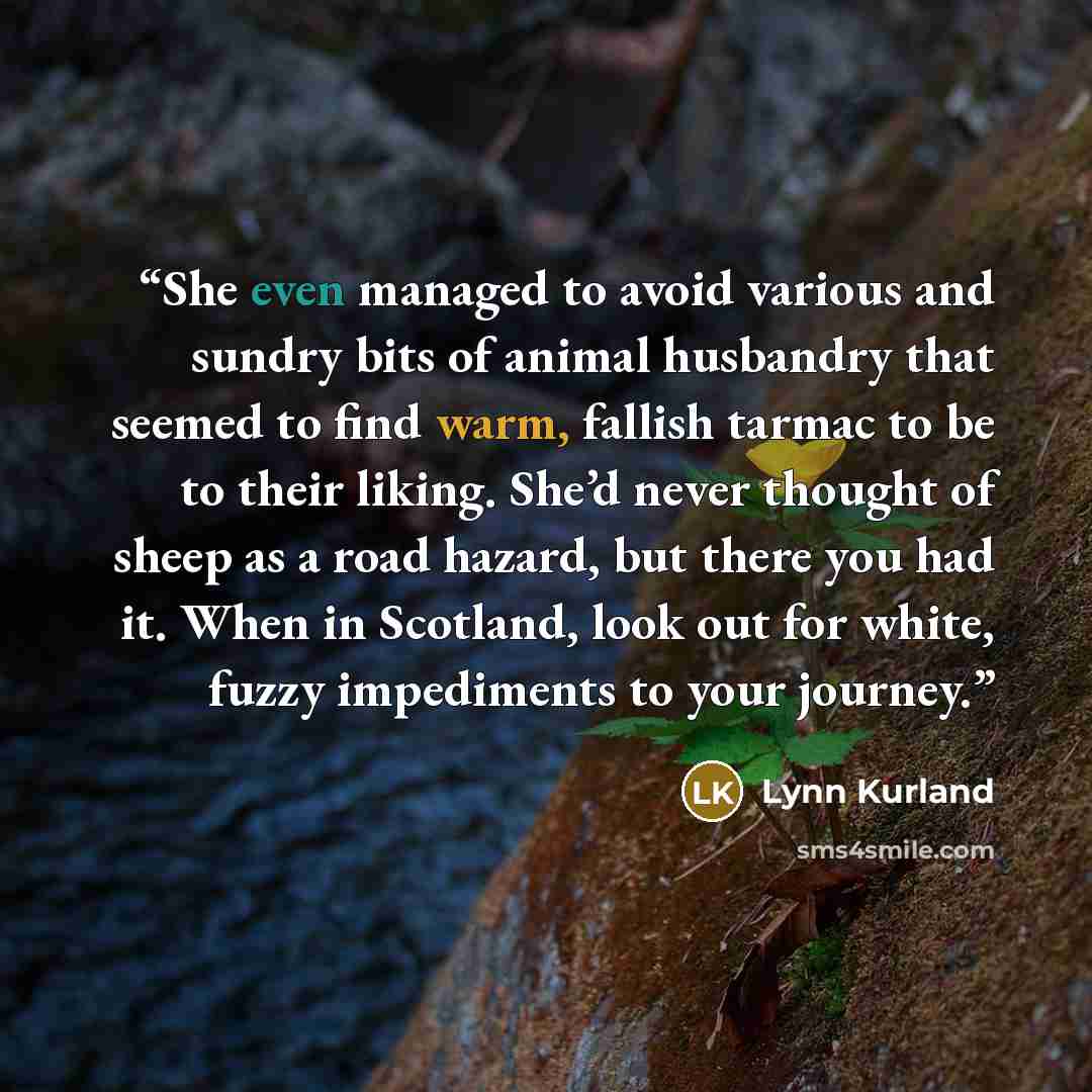 “She even managed to avoid various and sundry bits of animal husbandry that seemed to find warm, fallish tarmac to be to their liking. She’d never thought of sheep as a road hazard, but there you had it. When in Scotland, look out for white, fuzzy impediments to your journey.” quote by Lynn Kurland