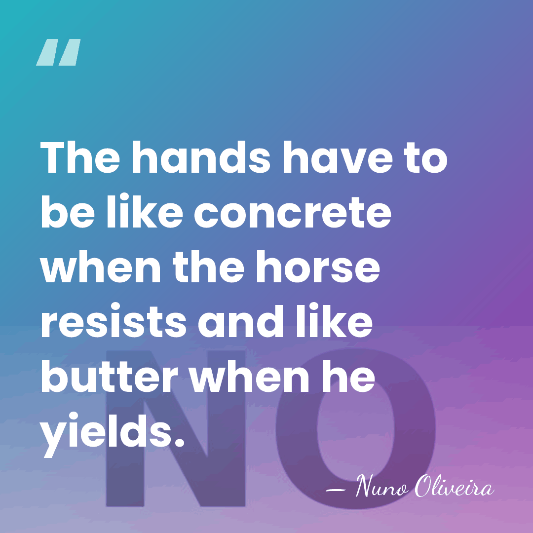 The hands have to be like concrete when the horse resists and&hellip; - Nuno Oliveira