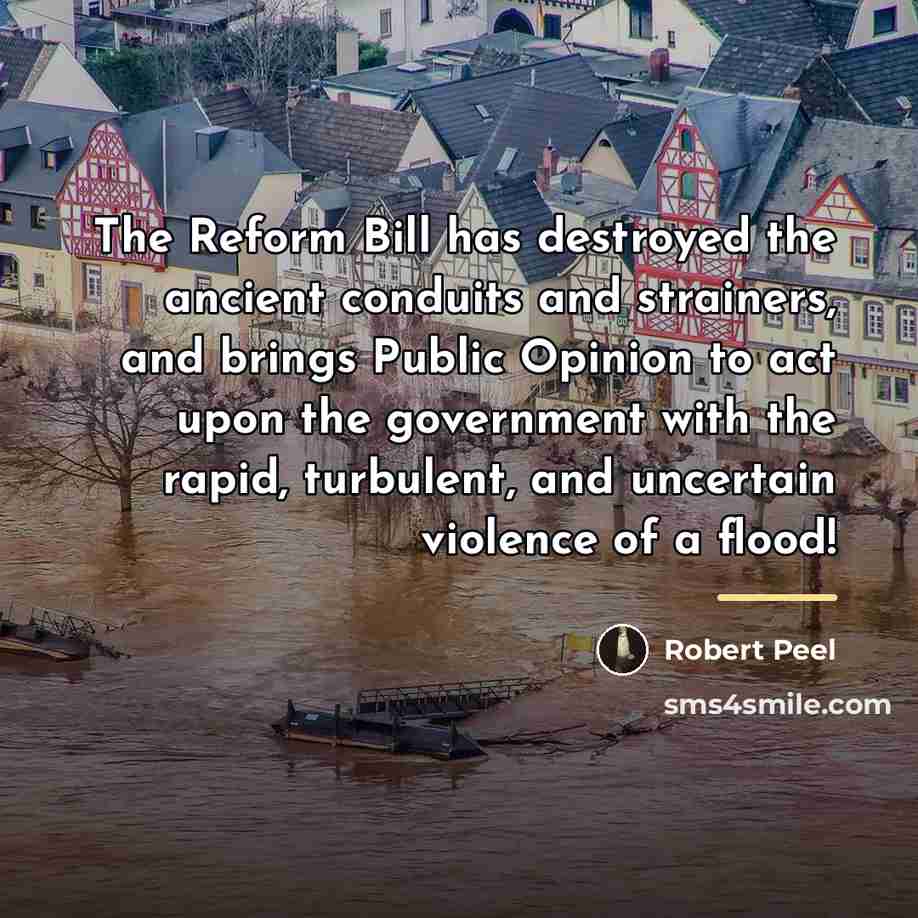 “The Reform Bill has destroyed the ancient conduits and strainers,…” quote by Robert Peel
