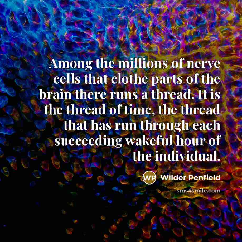 “Among the millions of nerve cells that clothe parts of…” quote by Wilder Penfield