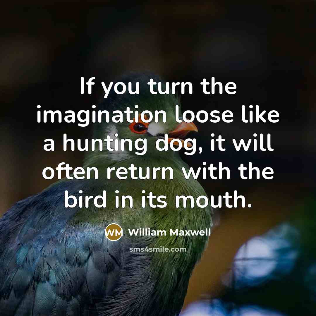 “If you turn the imagination loose like a hunting dog,…” quote by William Maxwell