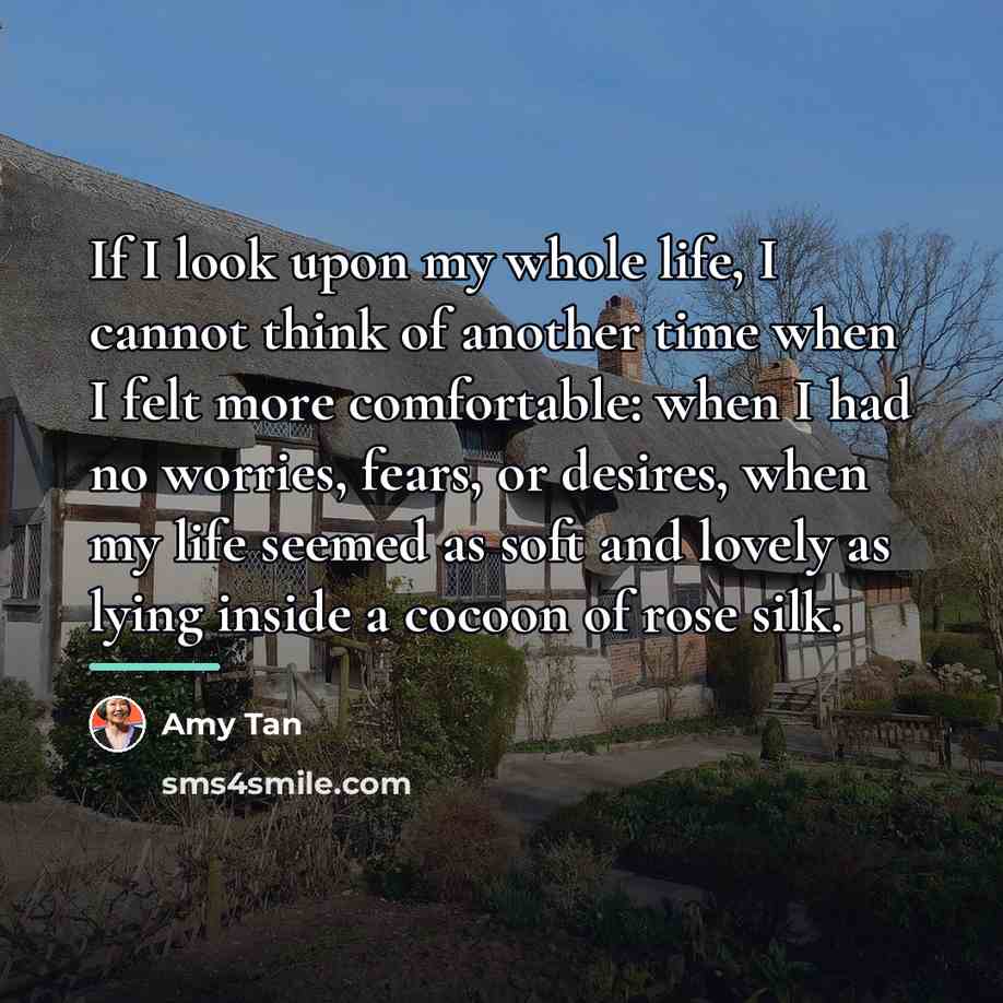 “If I look upon my whole life, I cannot think…” quote by Amy Tan