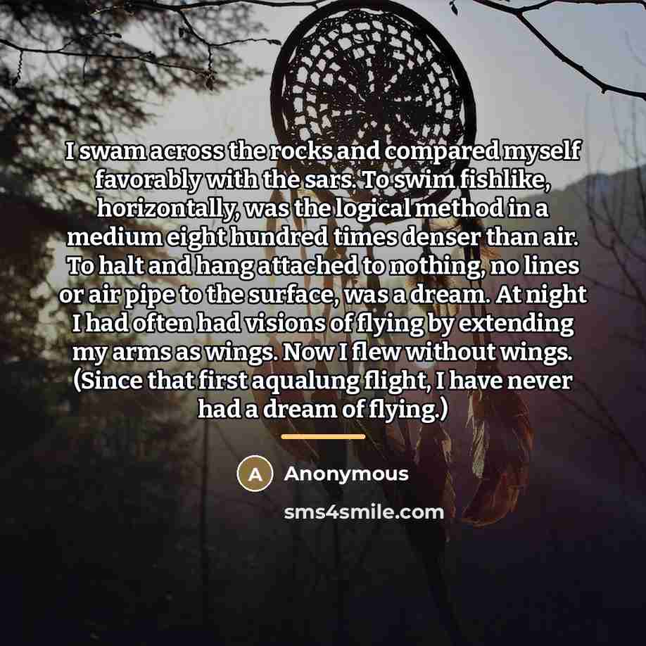 “I swam across the rocks and compared myself favorably with…” quote by Anonymous