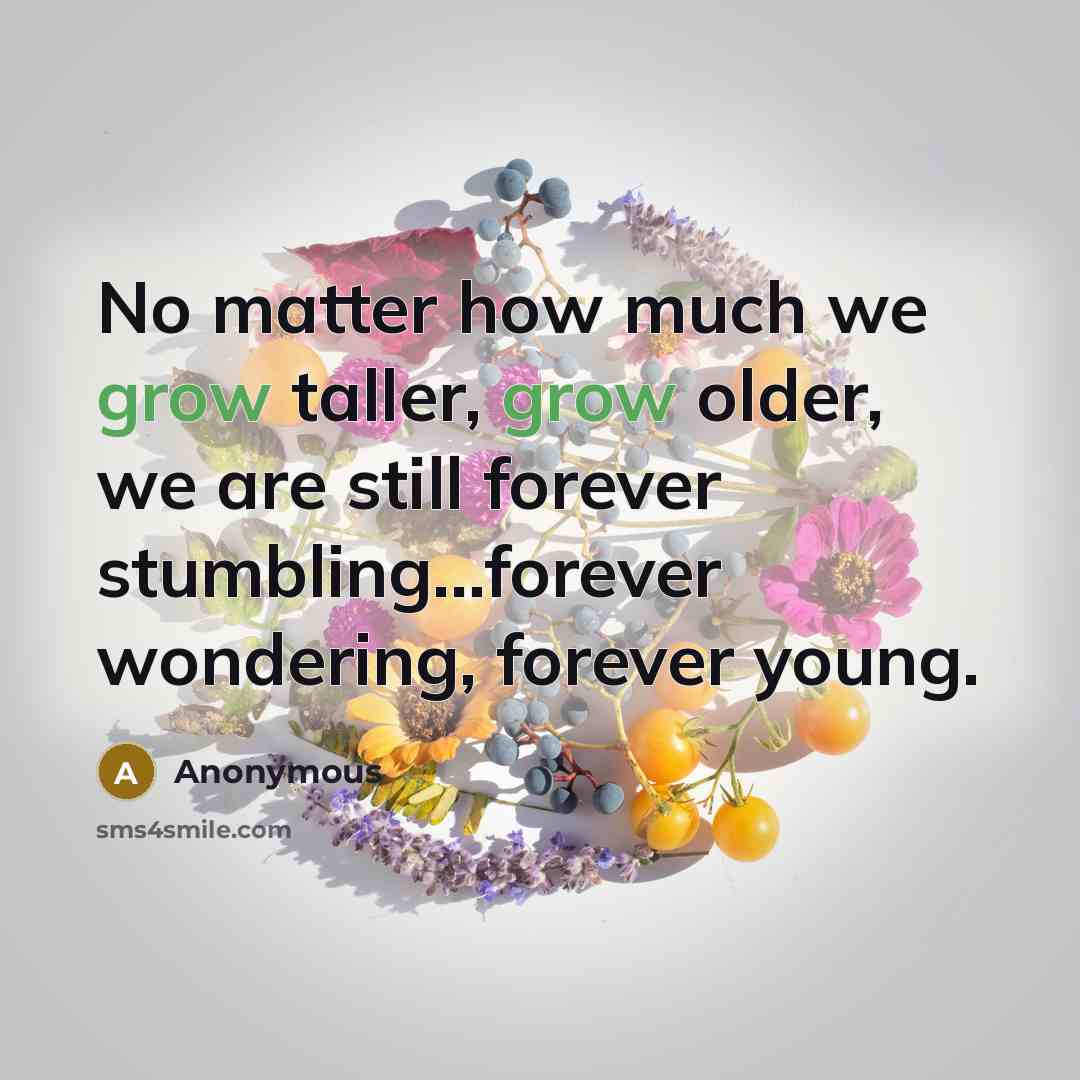 “No matter how much we grow taller, grow older, we…” quote by Anonymous