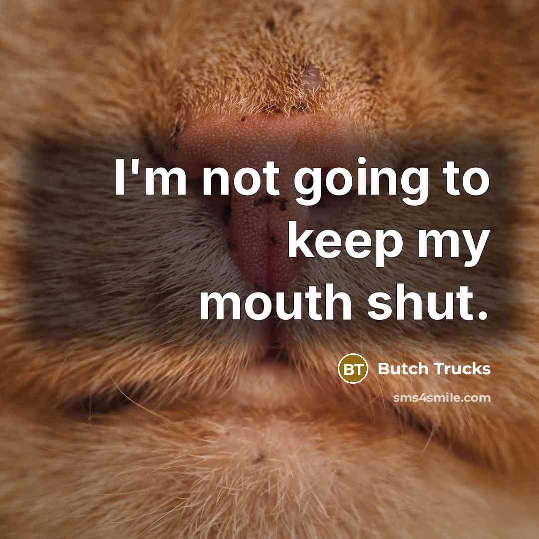 “I'm not going to keep my mouth shut.…” quote by Butch Trucks